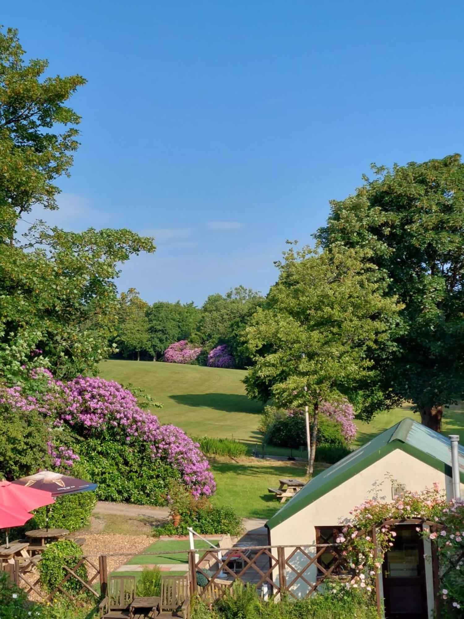 Priskilly Forest Country House Fishguard Exterior photo